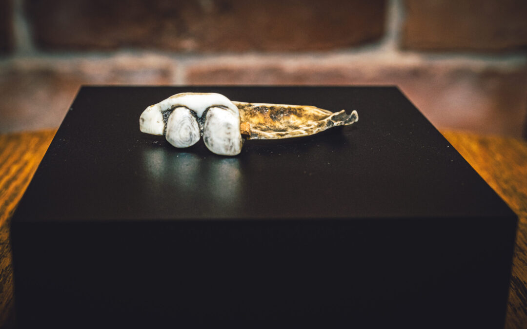 Denture made by Paul Revere, 1765-1770